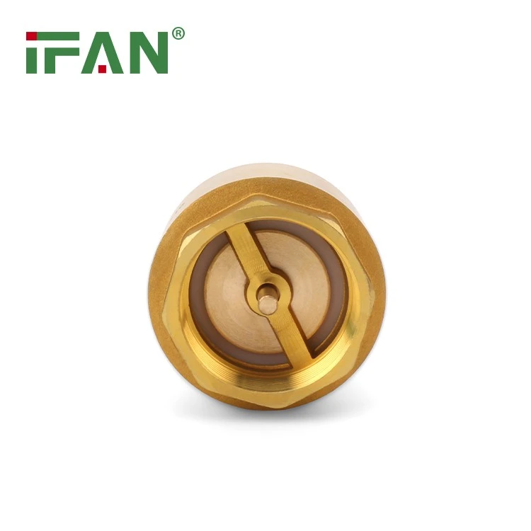 Spring Brass Check Valve